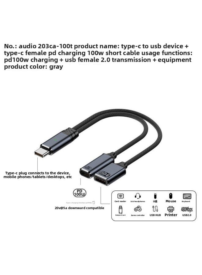 Type-C To 3.5mm Headset Transfer Charging Audio OTG Line 100W Applicable To Mobile Phone Headset Listening To Song Charging-Color:Usb-c Male To Pd100w+dac Audio Dual Usb-c Female - Image 5